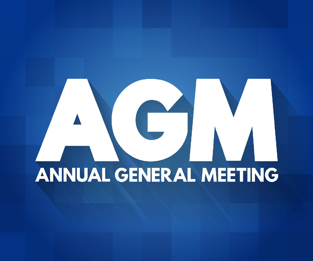 thumbnails Annual General Meeting