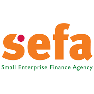 Nombuyiselo Tasana (Information Officer at SEFA - Small Enterprise Finance Agency)